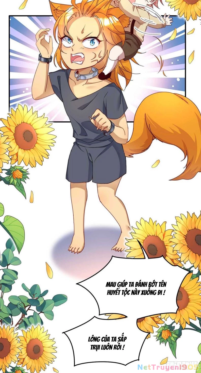 Dẫn Sói Vào Phòng Chapter 17 - 2