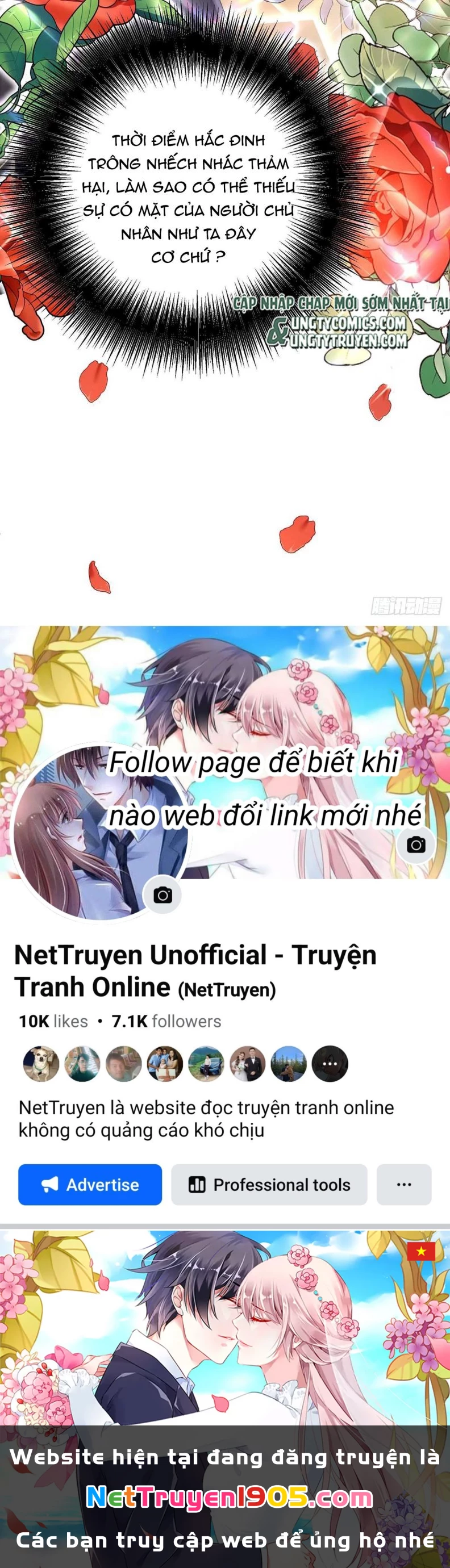 Dẫn Sói Vào Phòng Chapter 17 - 24