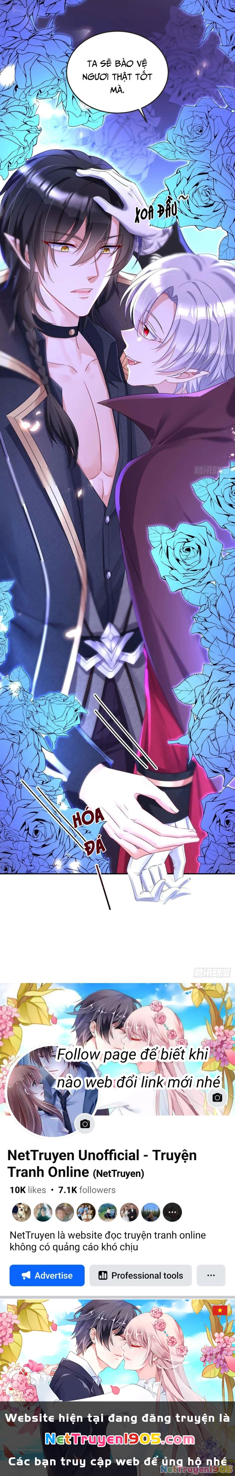 Dẫn Sói Vào Phòng Chapter 28 - 24