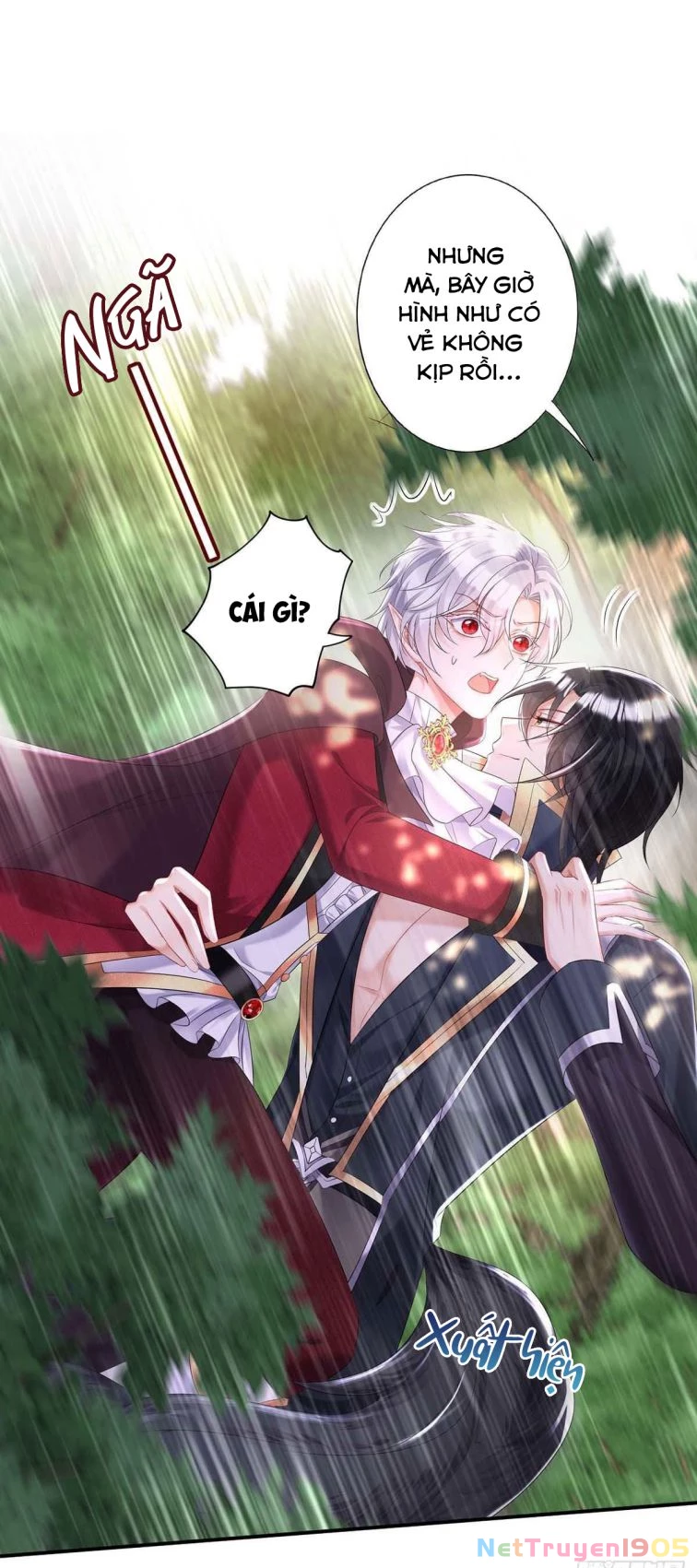 Dẫn Sói Vào Phòng Chapter 38 - 1