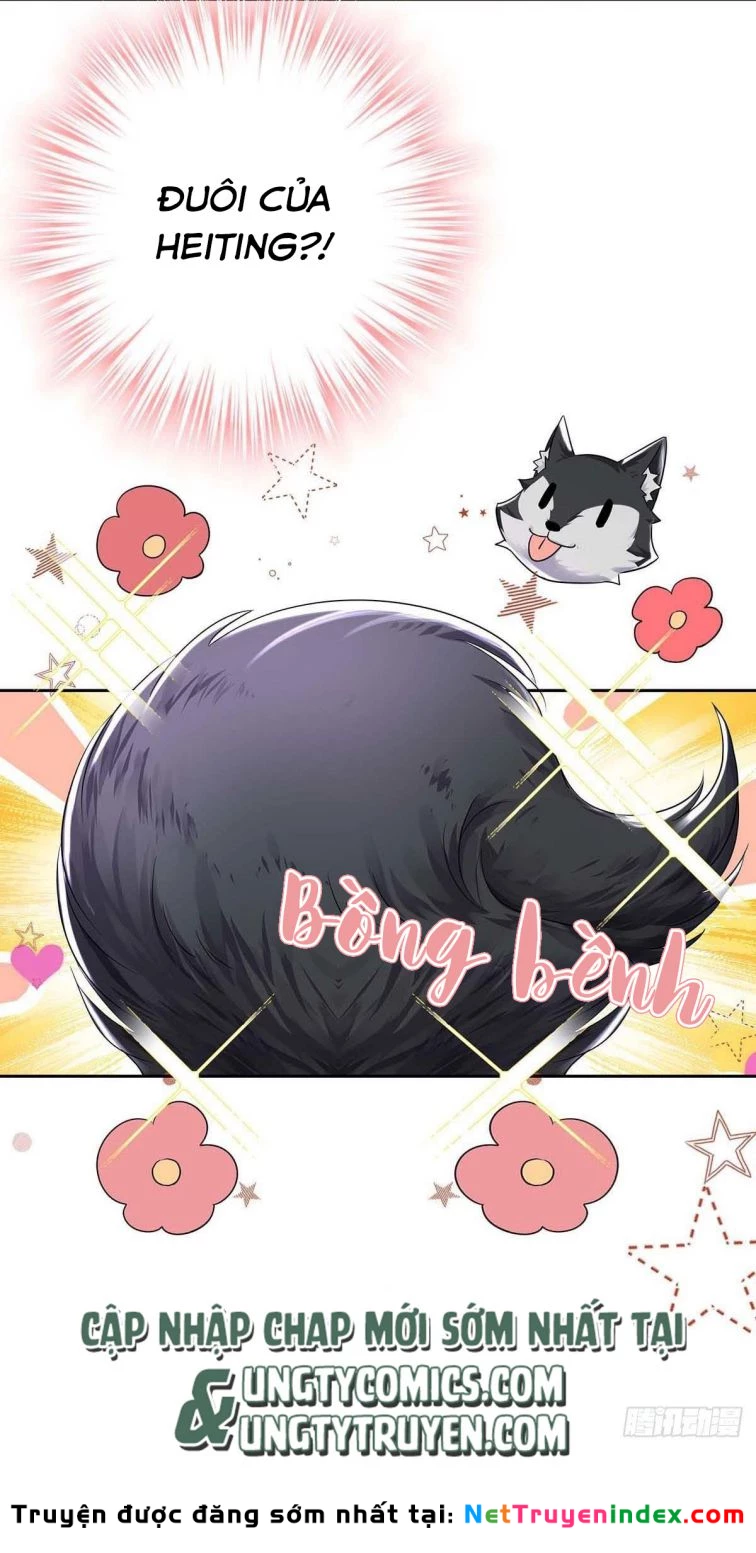 Dẫn Sói Vào Phòng Chapter 38 - 13