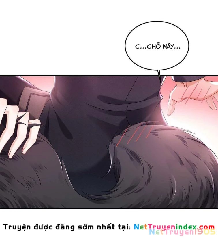 Dẫn Sói Vào Phòng Chapter 38 - 18