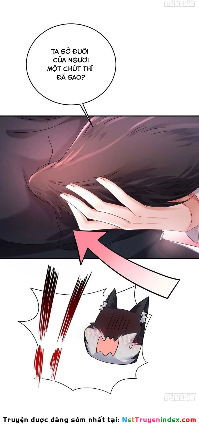 Dẫn Sói Vào Phòng Chapter 38 - 25