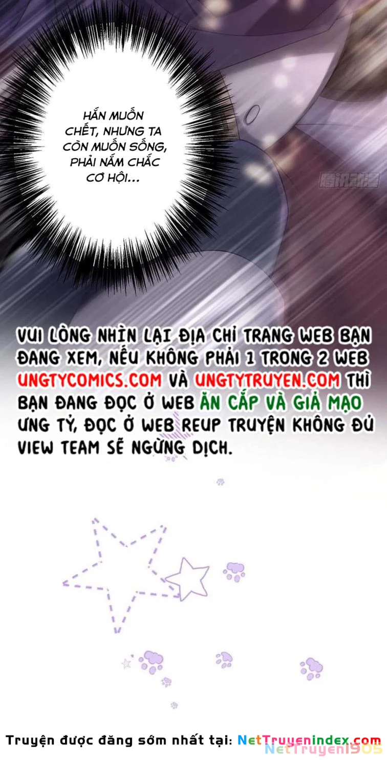 Dẫn Sói Vào Phòng Chapter 41 - 15