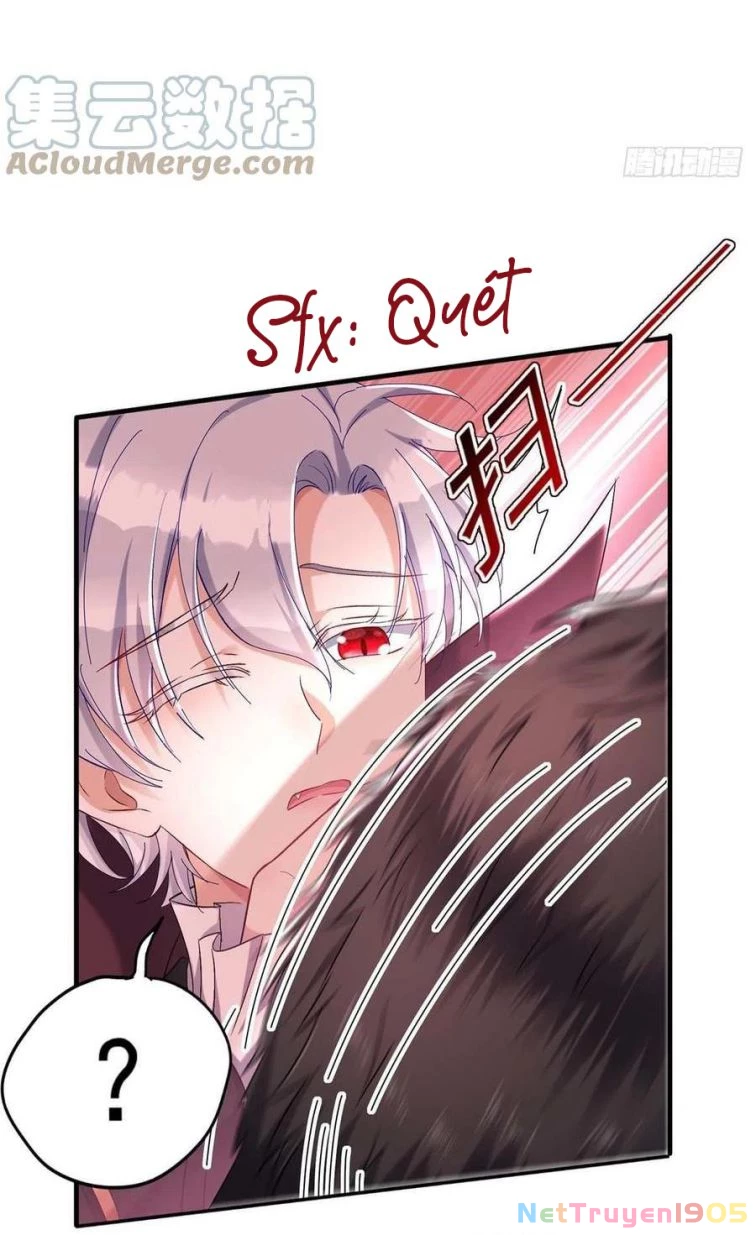 Dẫn Sói Vào Phòng Chapter 41 - 33