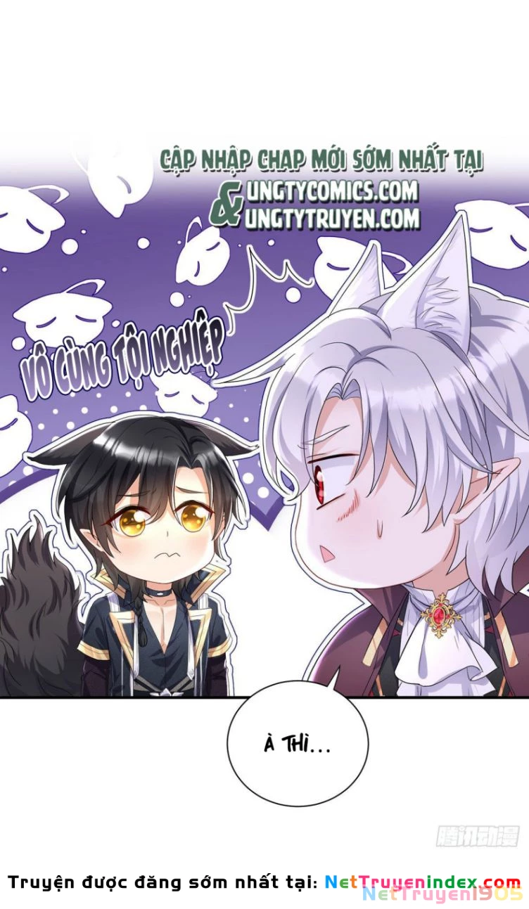 Dẫn Sói Vào Phòng Chapter 60 - 14