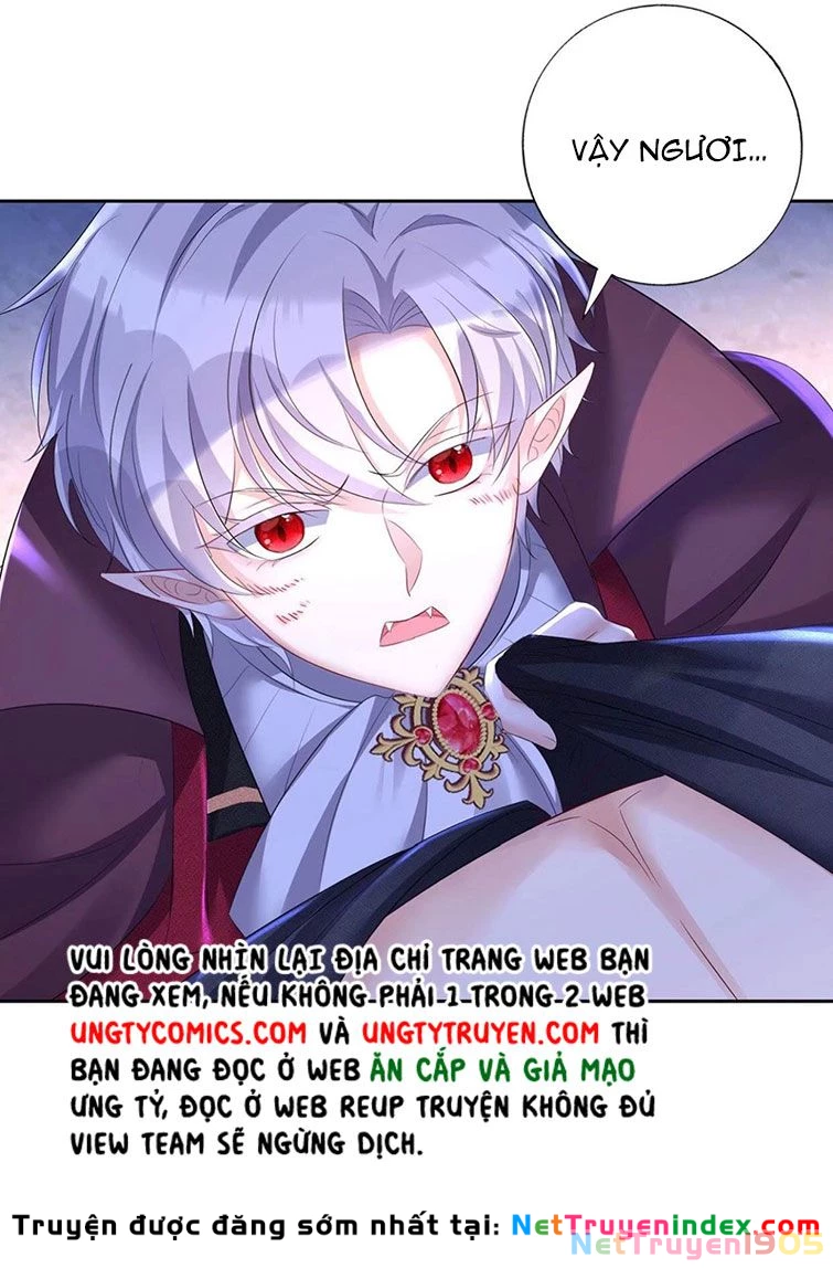 Dẫn Sói Vào Phòng Chapter 61 - 35