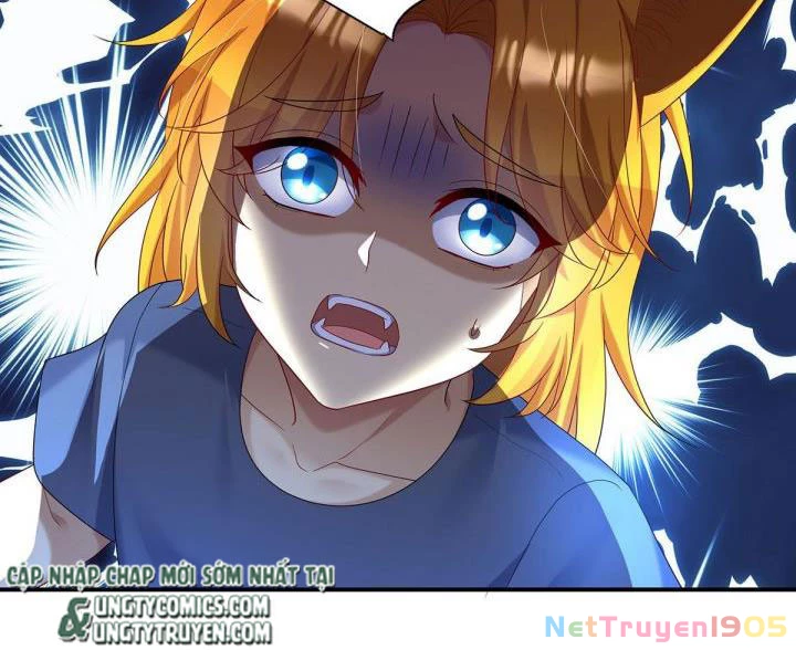 Dẫn Sói Vào Phòng Chapter 70 - 10