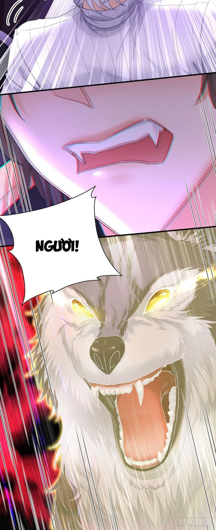 Dẫn Sói Vào Phòng Chapter 74 - 13