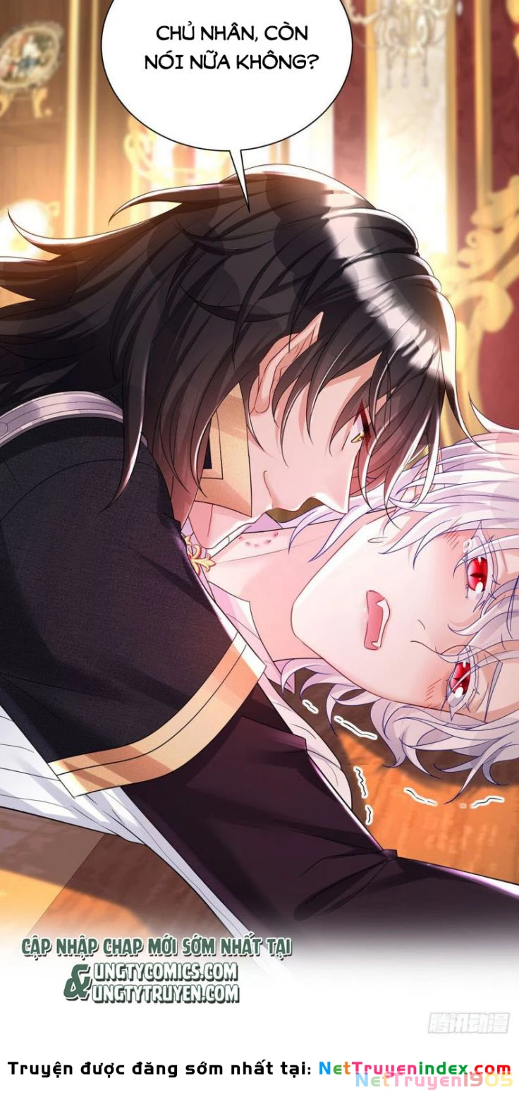 Dẫn Sói Vào Phòng Chapter 74 - 17