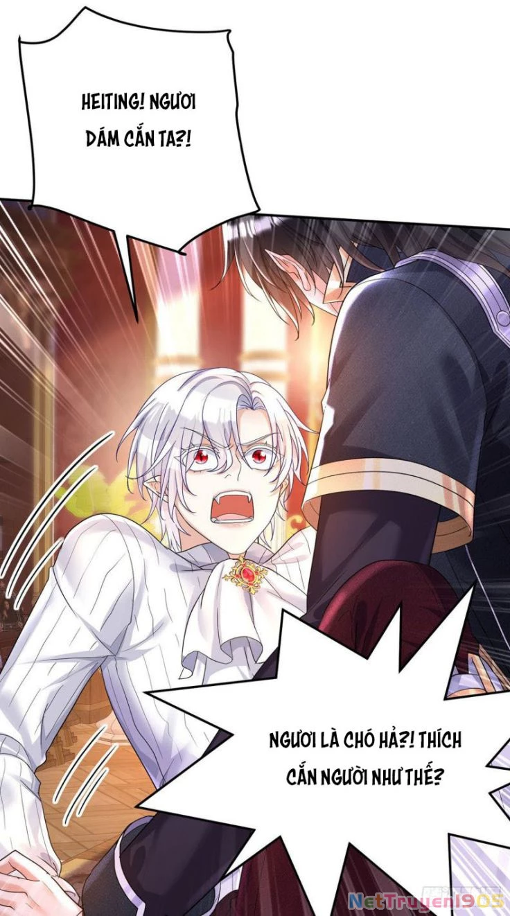 Dẫn Sói Vào Phòng Chapter 74 - 19