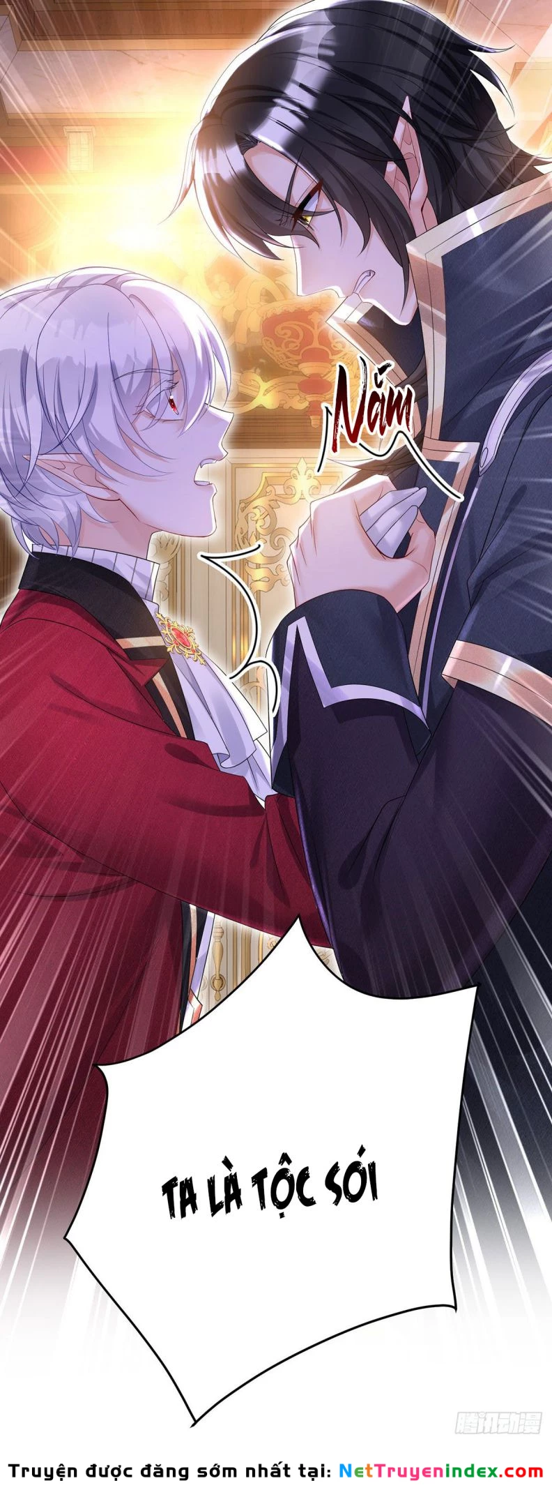 Dẫn Sói Vào Phòng Chapter 80 - 13