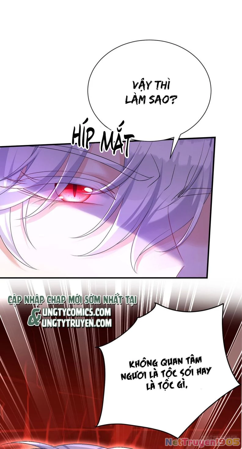 Dẫn Sói Vào Phòng Chapter 80 - 14