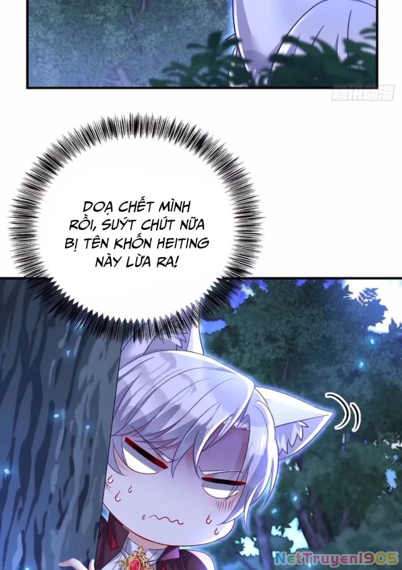 Dẫn Sói Vào Phòng Chapter 96 - 13