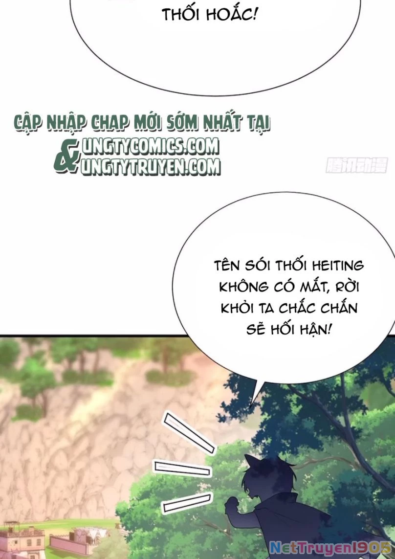 Dẫn Sói Vào Phòng Chapter 97 - 26