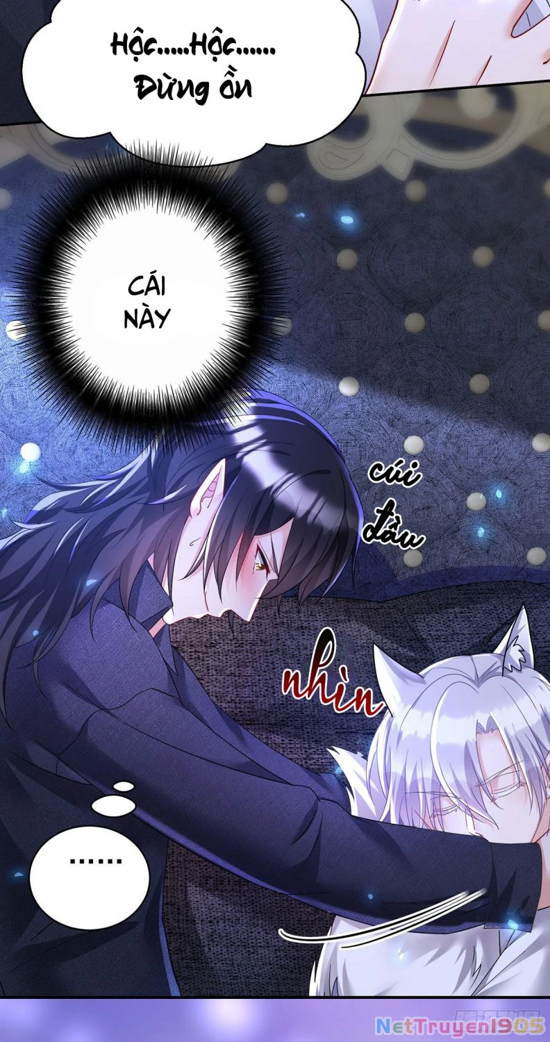 Dẫn Sói Vào Phòng Chapter 113 - 14