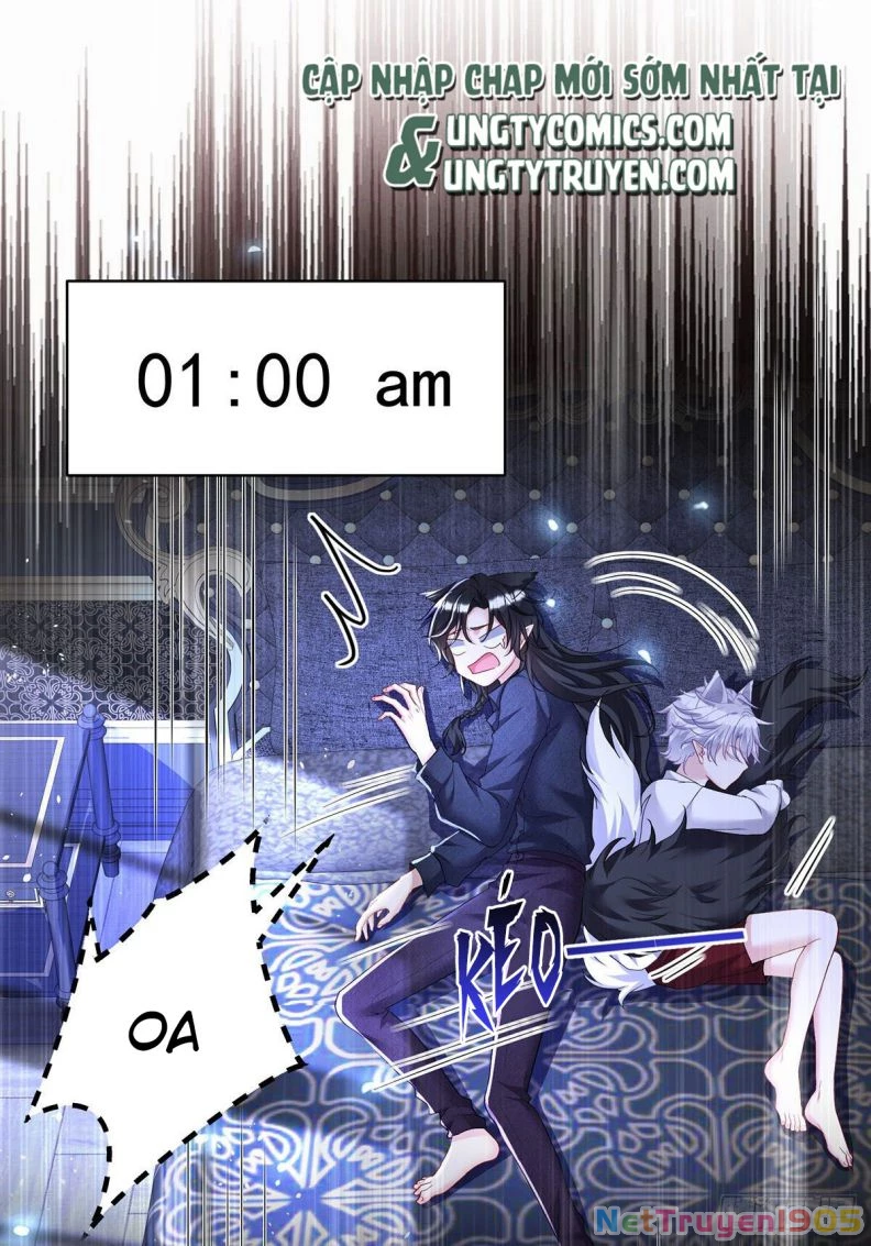 Dẫn Sói Vào Phòng Chapter 114 - 4