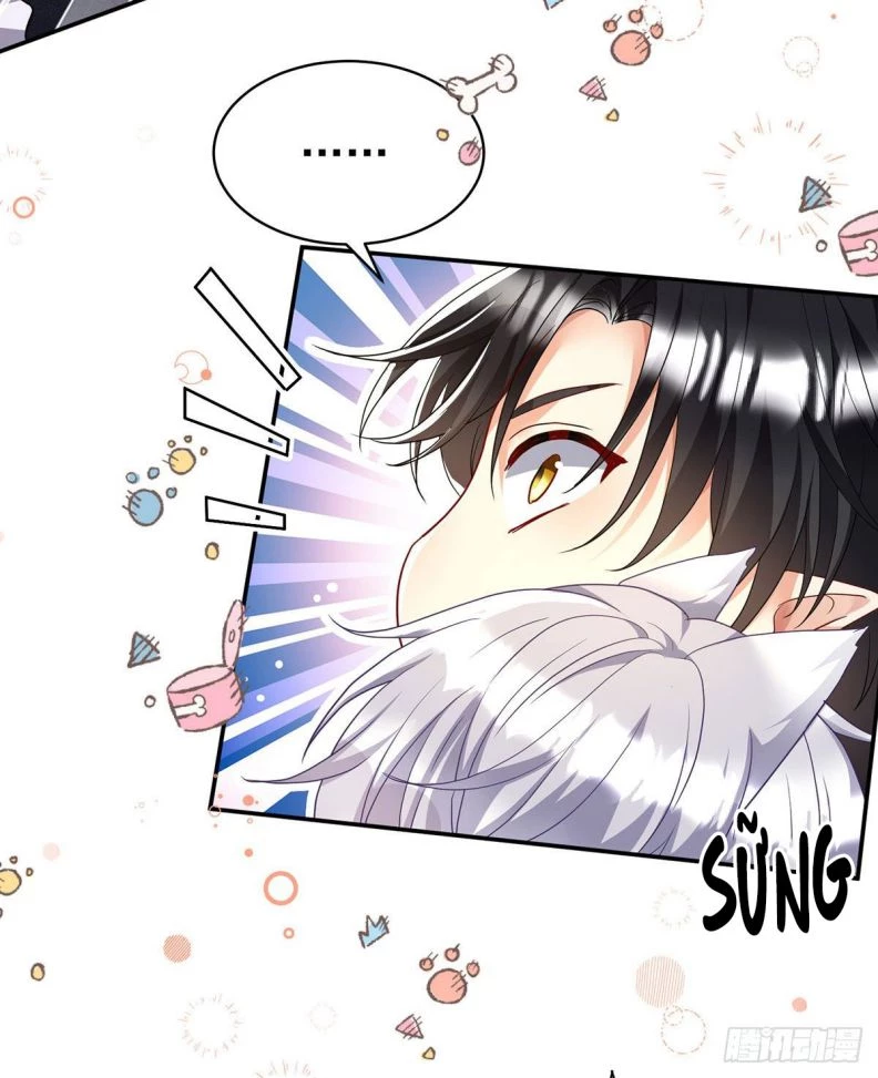 Dẫn Sói Vào Phòng Chapter 114 - 25