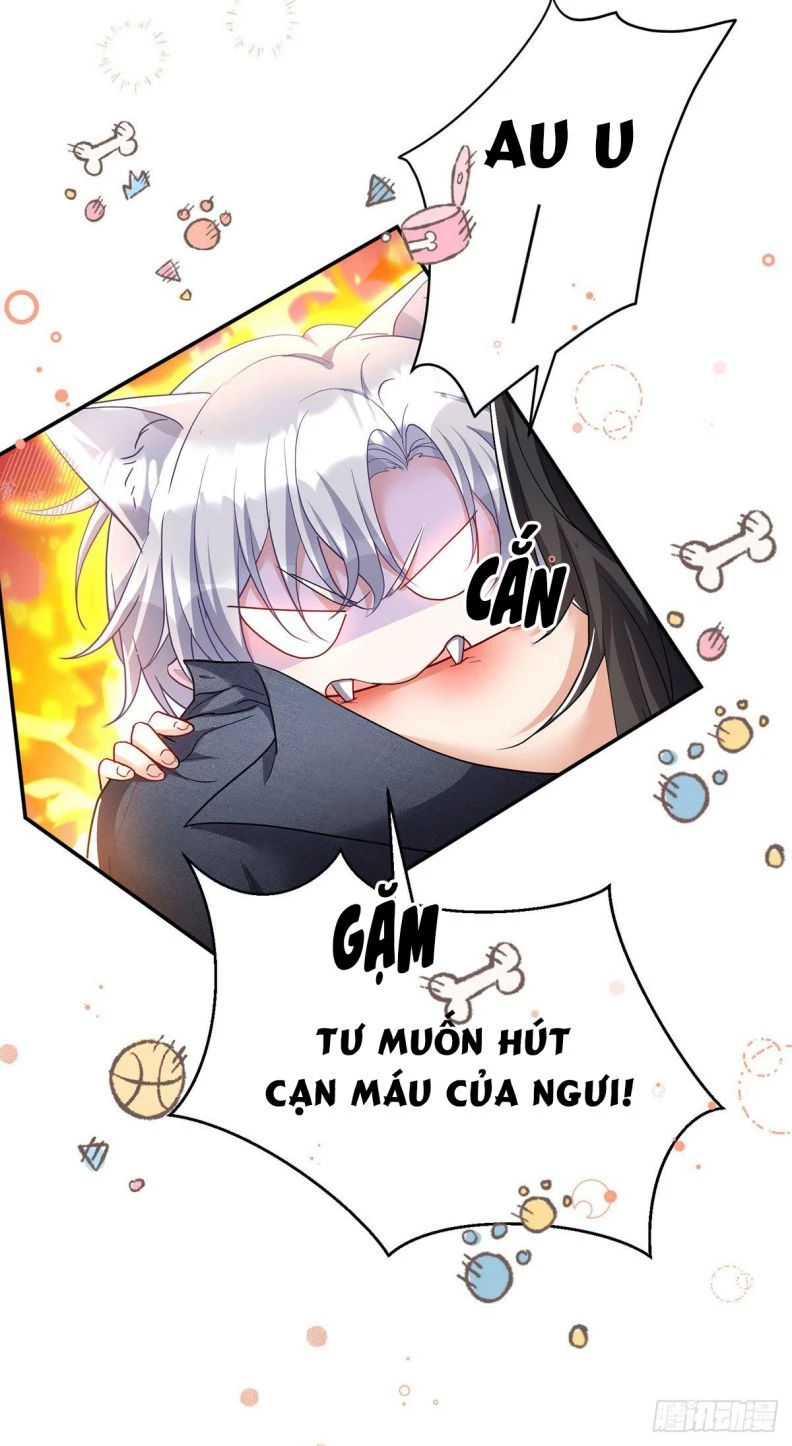 Dẫn Sói Vào Phòng Chapter 114 - 26