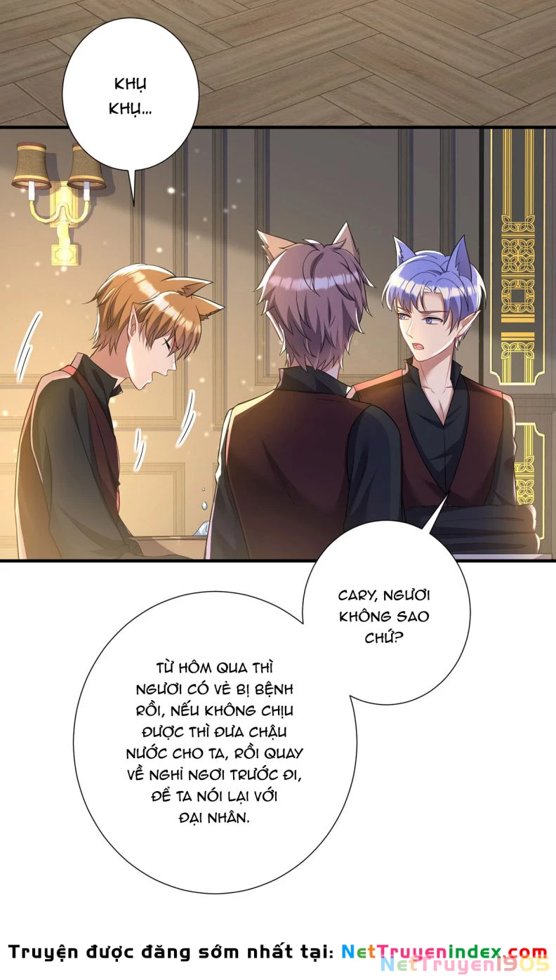 Dẫn Sói Vào Phòng Chapter 115 - 13