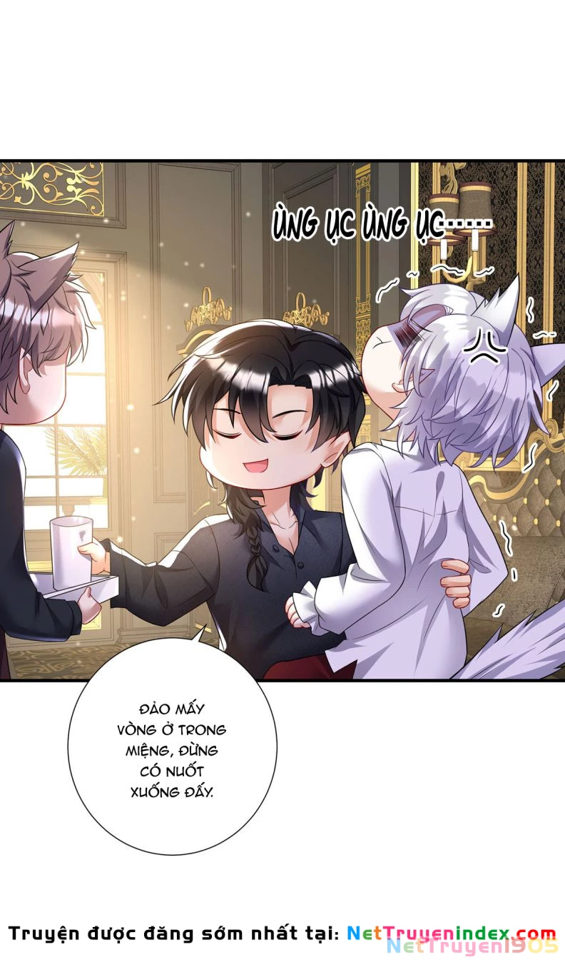 Dẫn Sói Vào Phòng Chapter 115 - 23