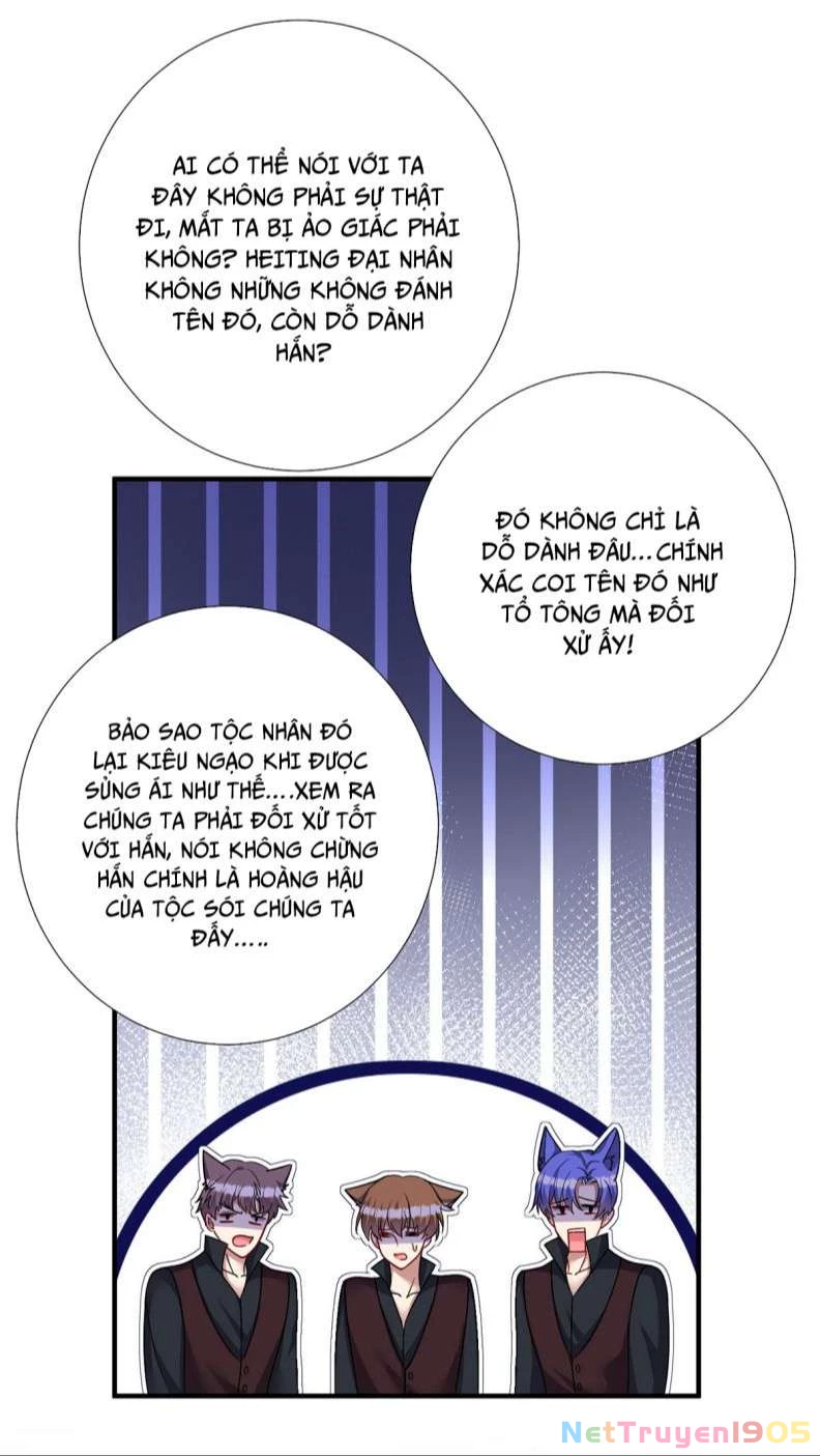 Dẫn Sói Vào Phòng Chapter 116 - 4