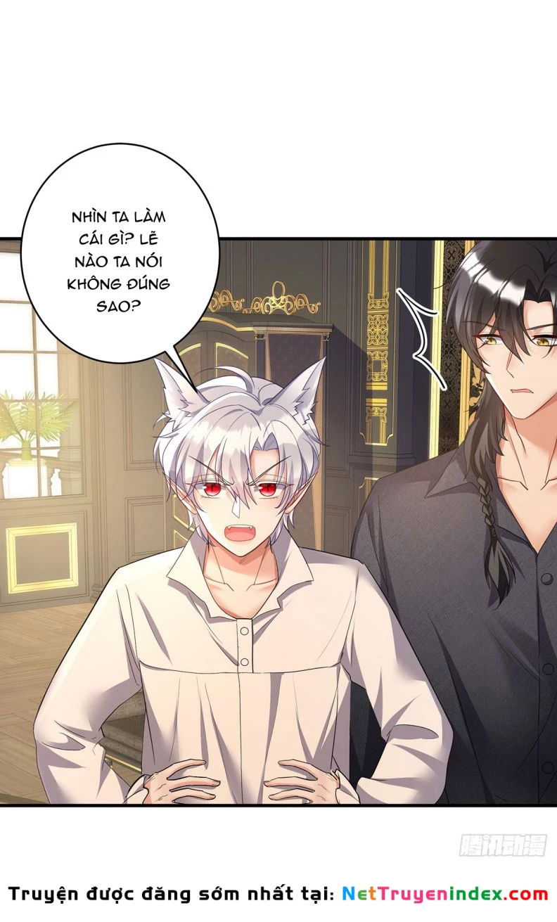 Dẫn Sói Vào Phòng Chapter 117 - 8