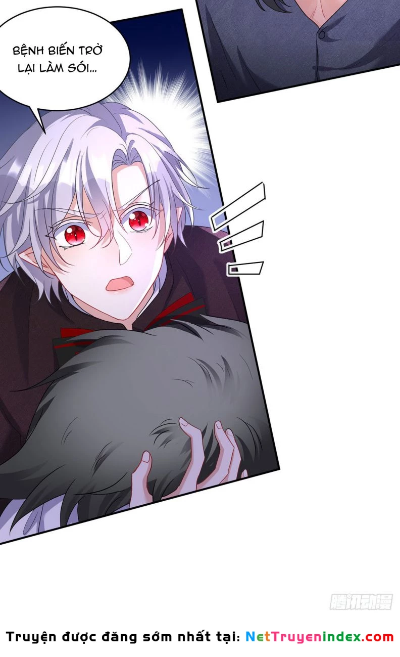 Dẫn Sói Vào Phòng Chapter 118 - 16