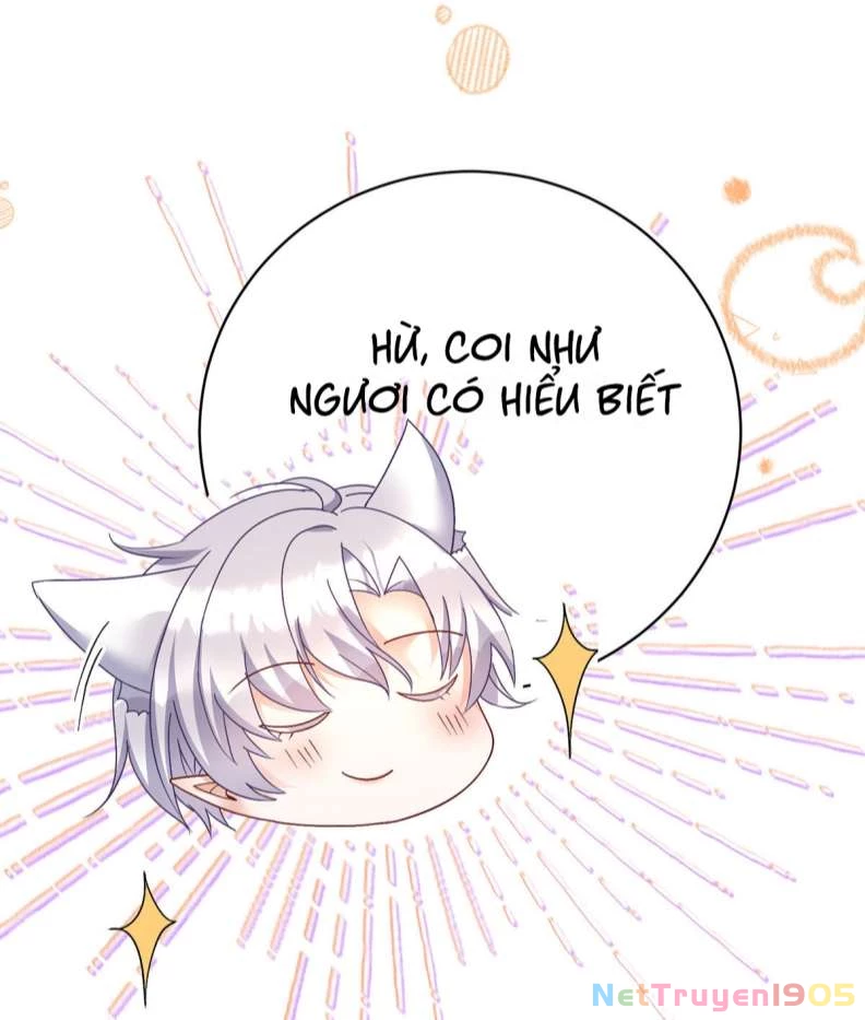 Dẫn Sói Vào Phòng Chapter 119 - 14