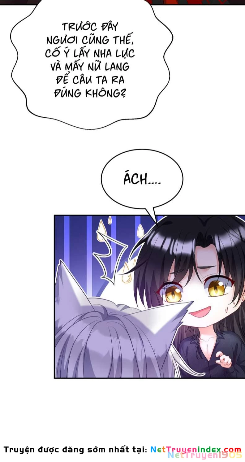 Dẫn Sói Vào Phòng Chapter 119 - 24