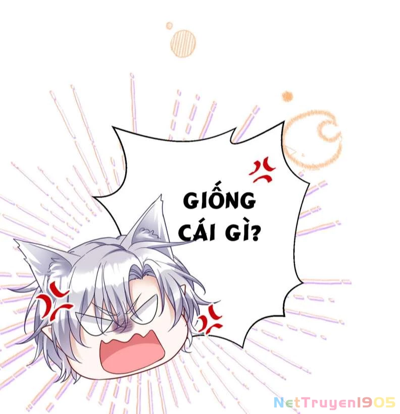 Dẫn Sói Vào Phòng Chapter 119 - 26