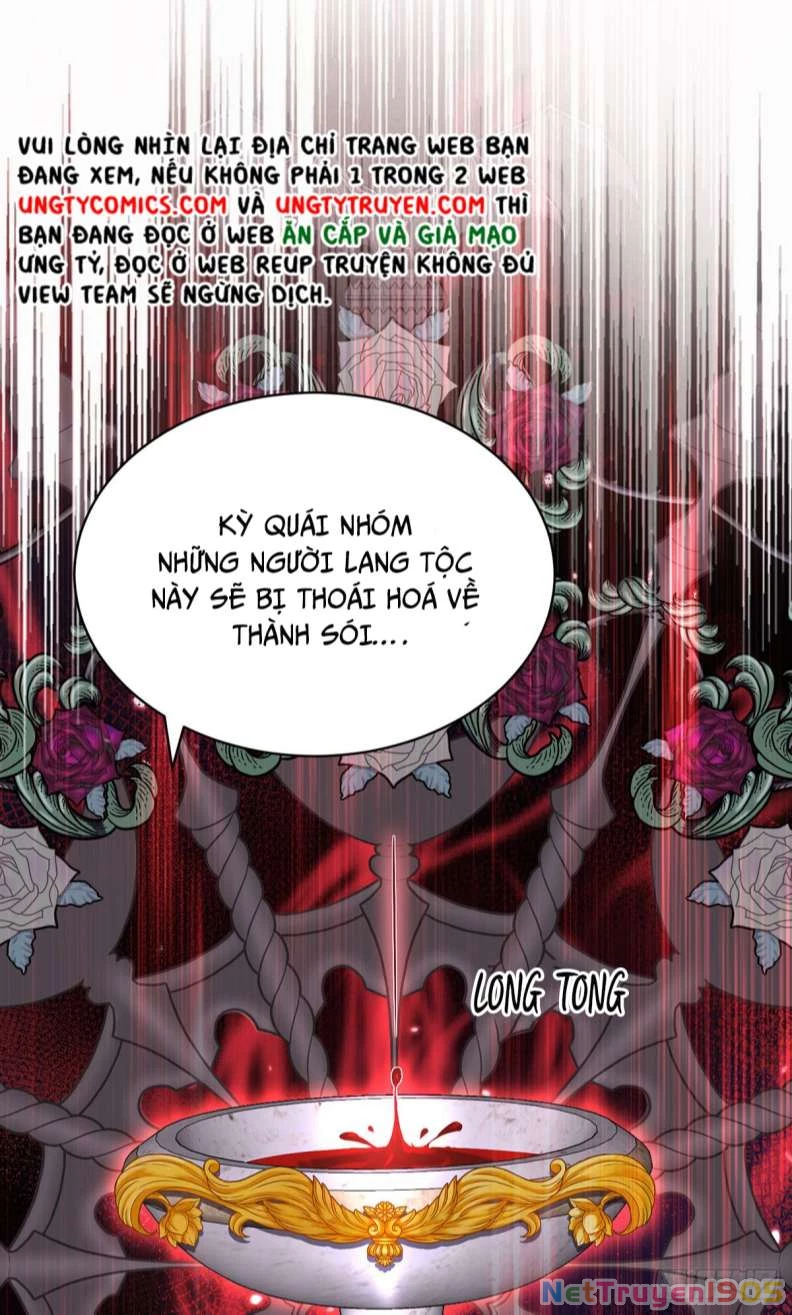 Dẫn Sói Vào Phòng Chapter 121 - 2