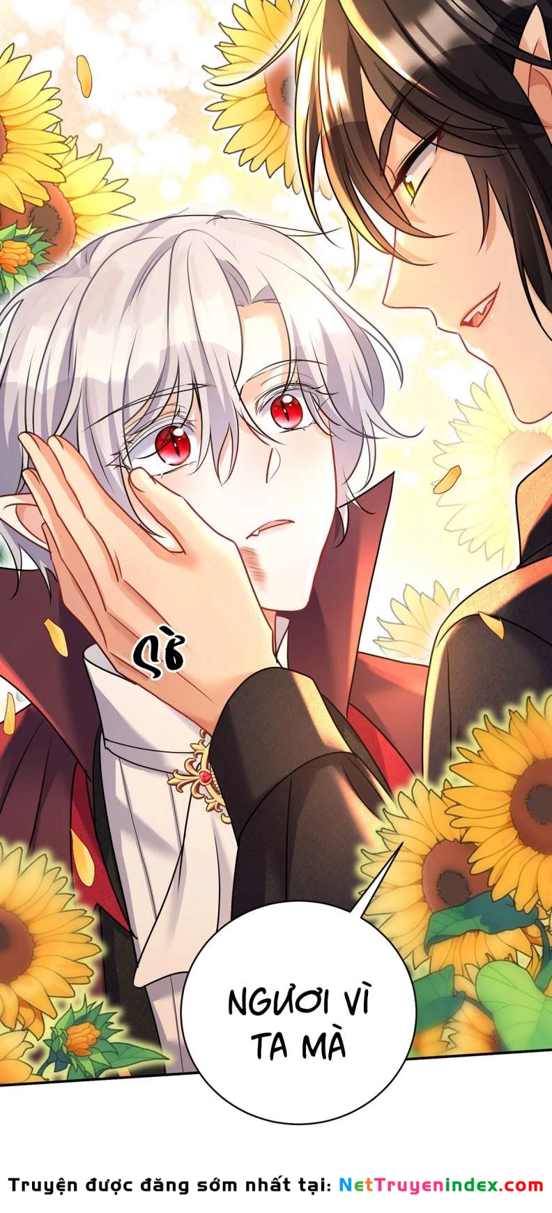 Dẫn Sói Vào Phòng Chapter 131 - 35