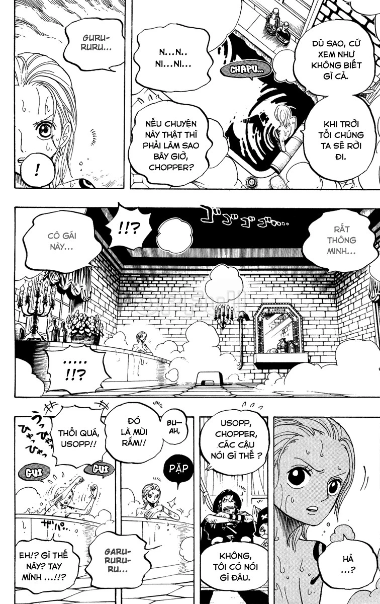One Piece Chapter 446 - 14
