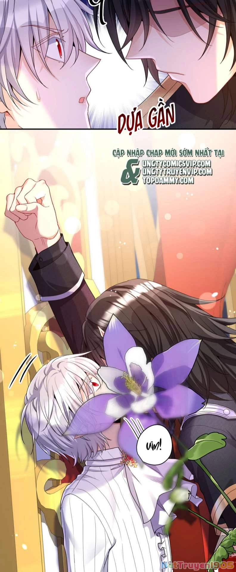 Dẫn Sói Vào Phòng Chapter 138 - 11