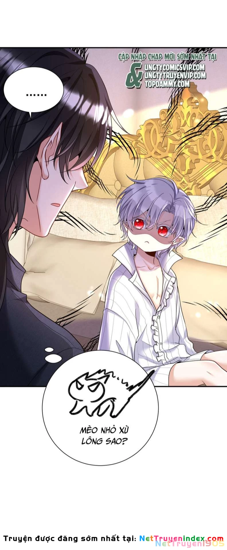Dẫn Sói Vào Phòng Chapter 142 - 16