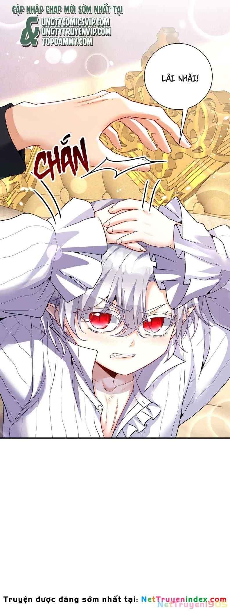 Dẫn Sói Vào Phòng Chapter 142 - 18