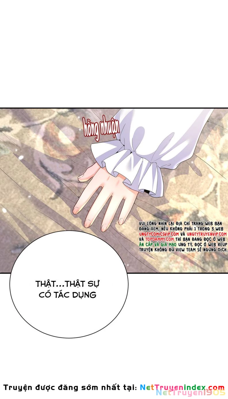 Dẫn Sói Vào Phòng Chapter 147 - 16