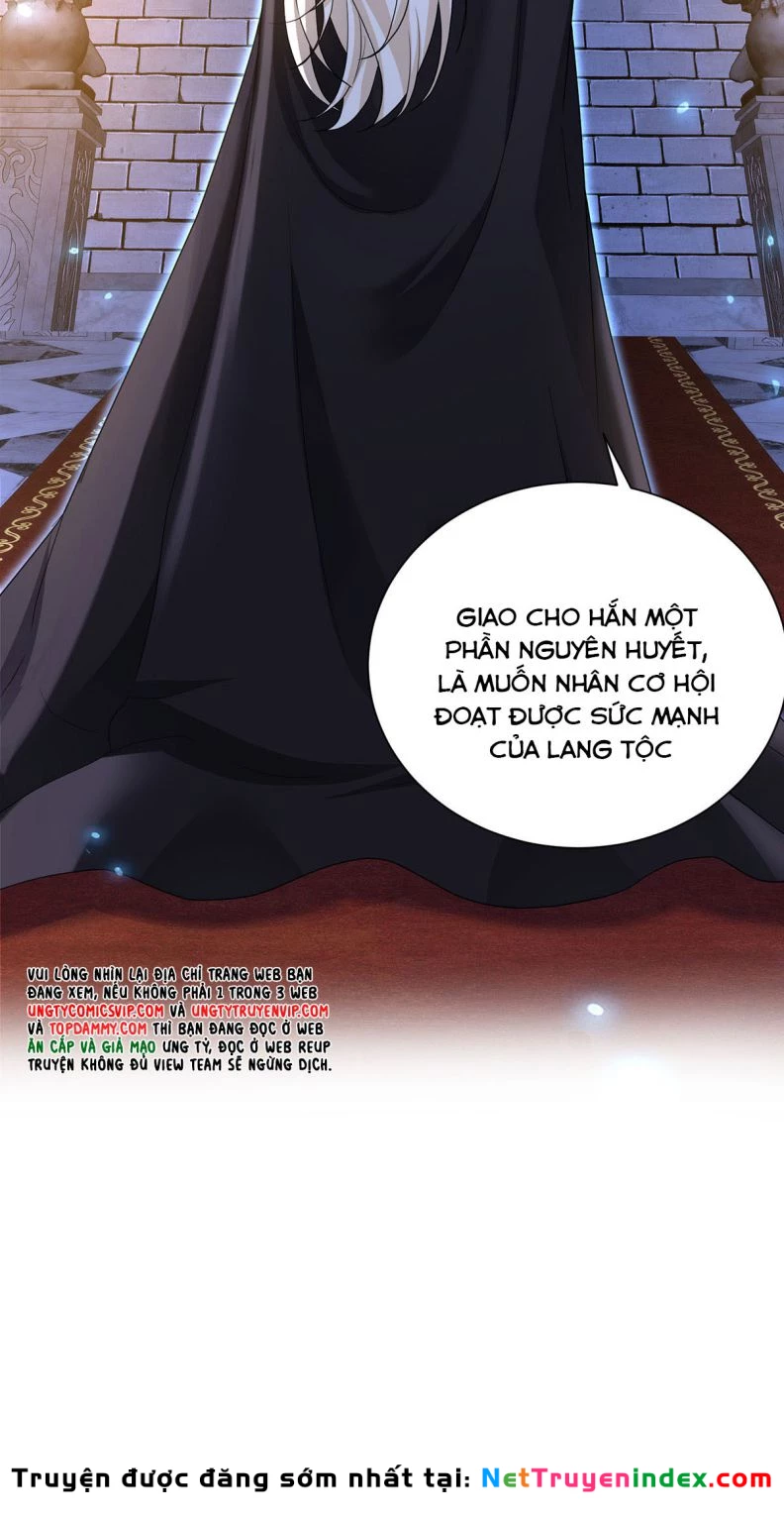 Dẫn Sói Vào Phòng Chapter 147 - 29