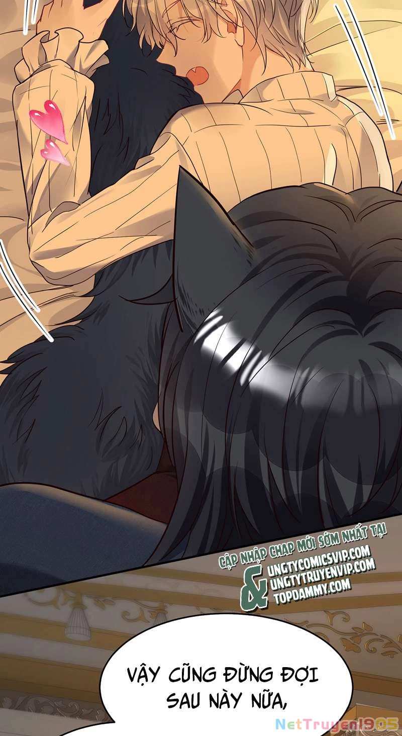 Dẫn Sói Vào Phòng Chapter 158 - 2