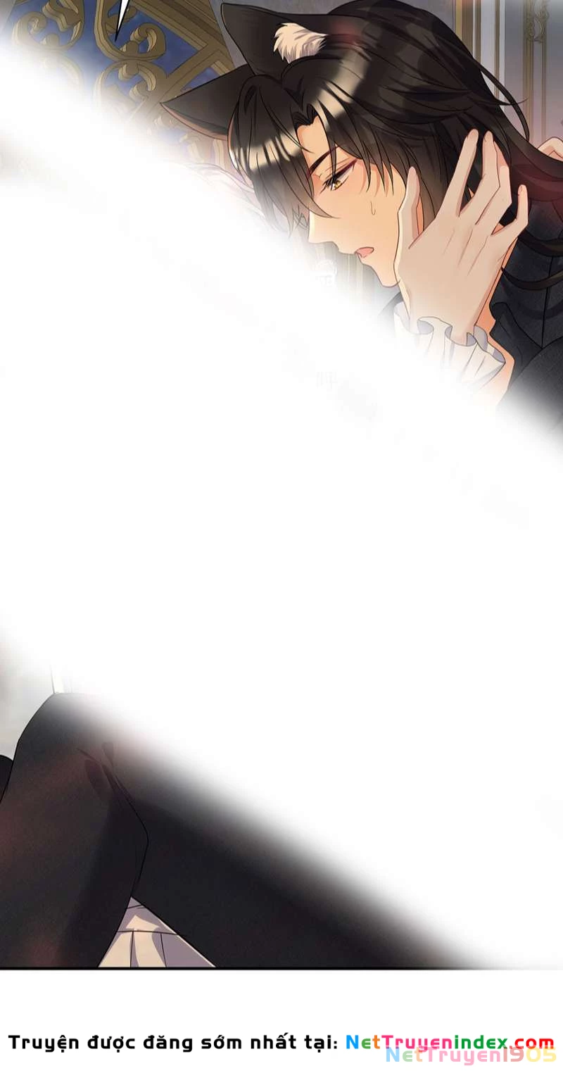 Dẫn Sói Vào Phòng Chapter 158 - 14