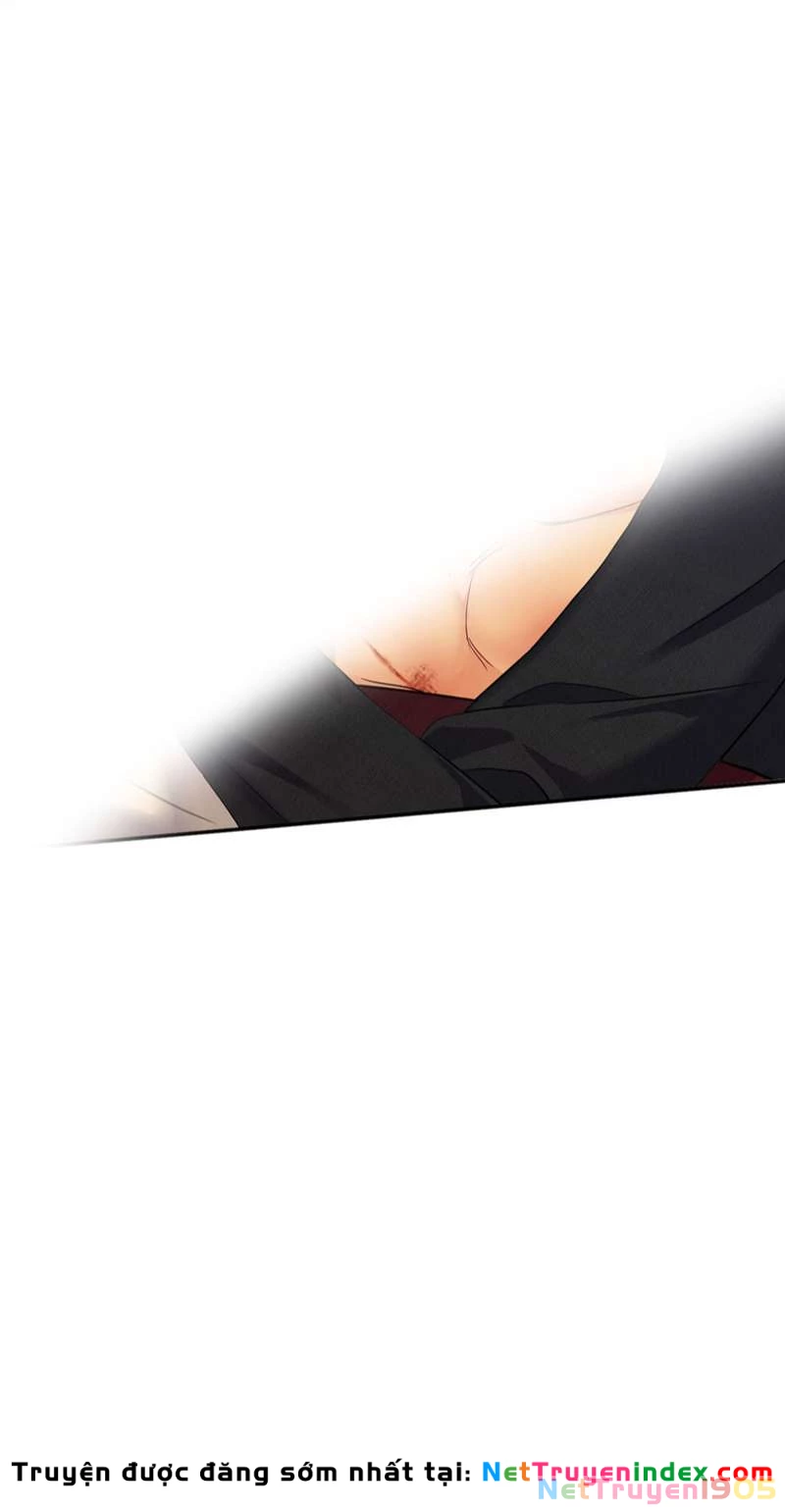 Dẫn Sói Vào Phòng Chapter 158 - 18