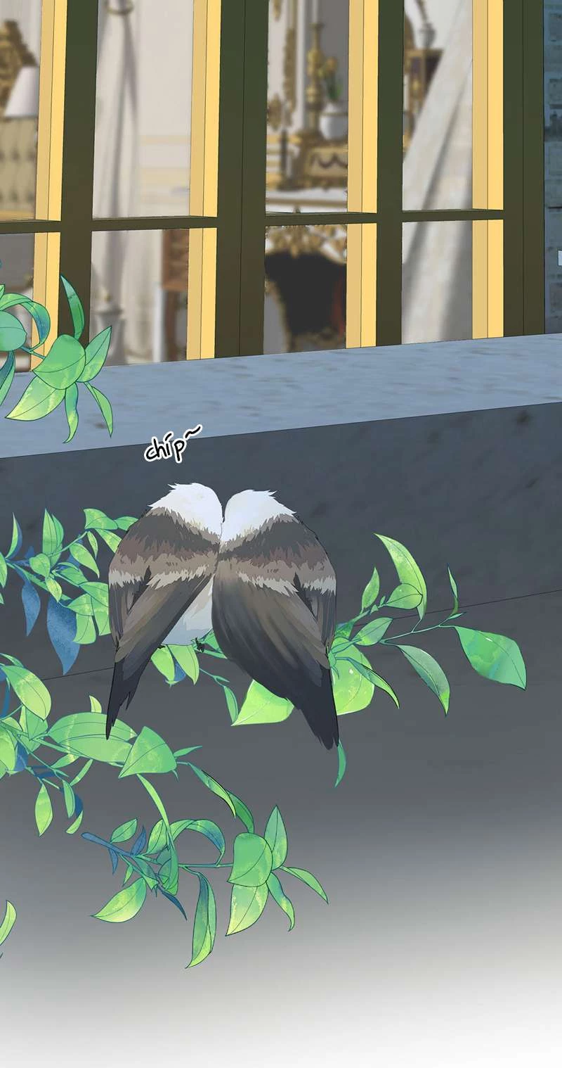 Dẫn Sói Vào Phòng Chapter 158 - 33