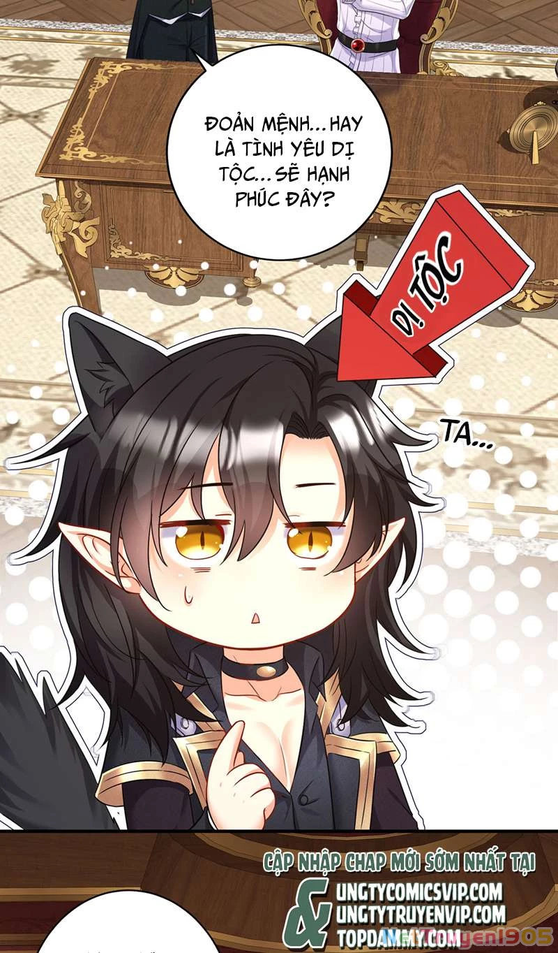 Dẫn Sói Vào Phòng Chapter 161 - 6