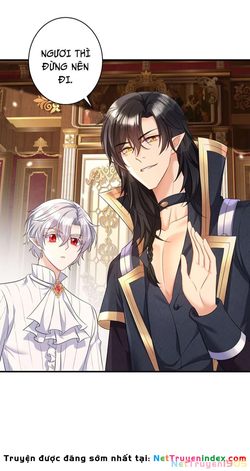 Dẫn Sói Vào Phòng Chapter 161 - 15