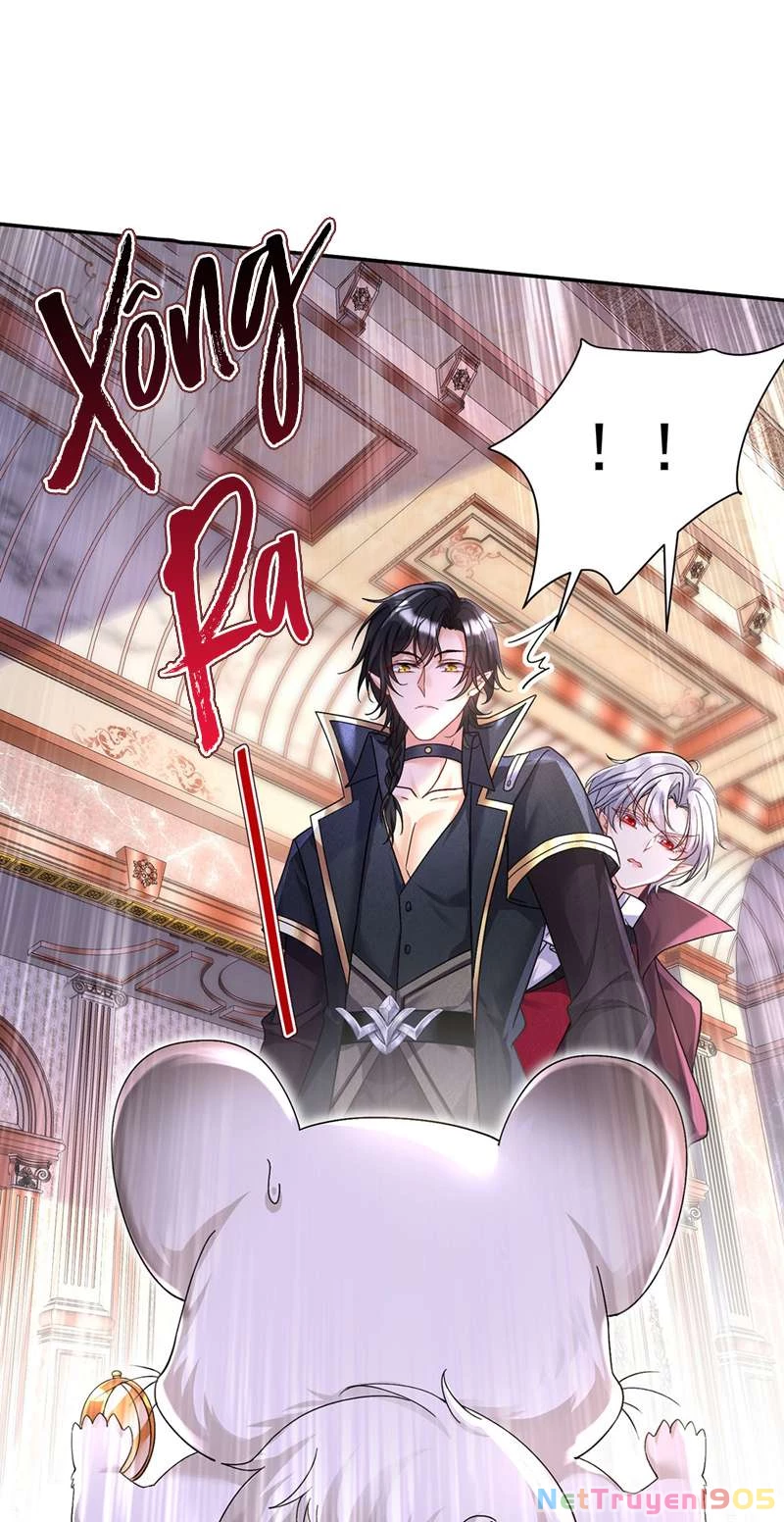 Dẫn Sói Vào Phòng Chapter 165 - 34