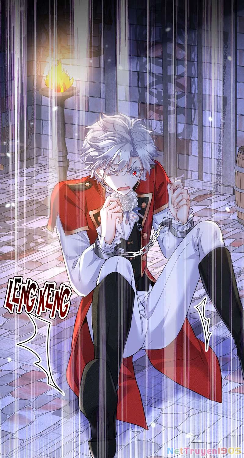 Dẫn Sói Vào Phòng Chapter 166 - 14