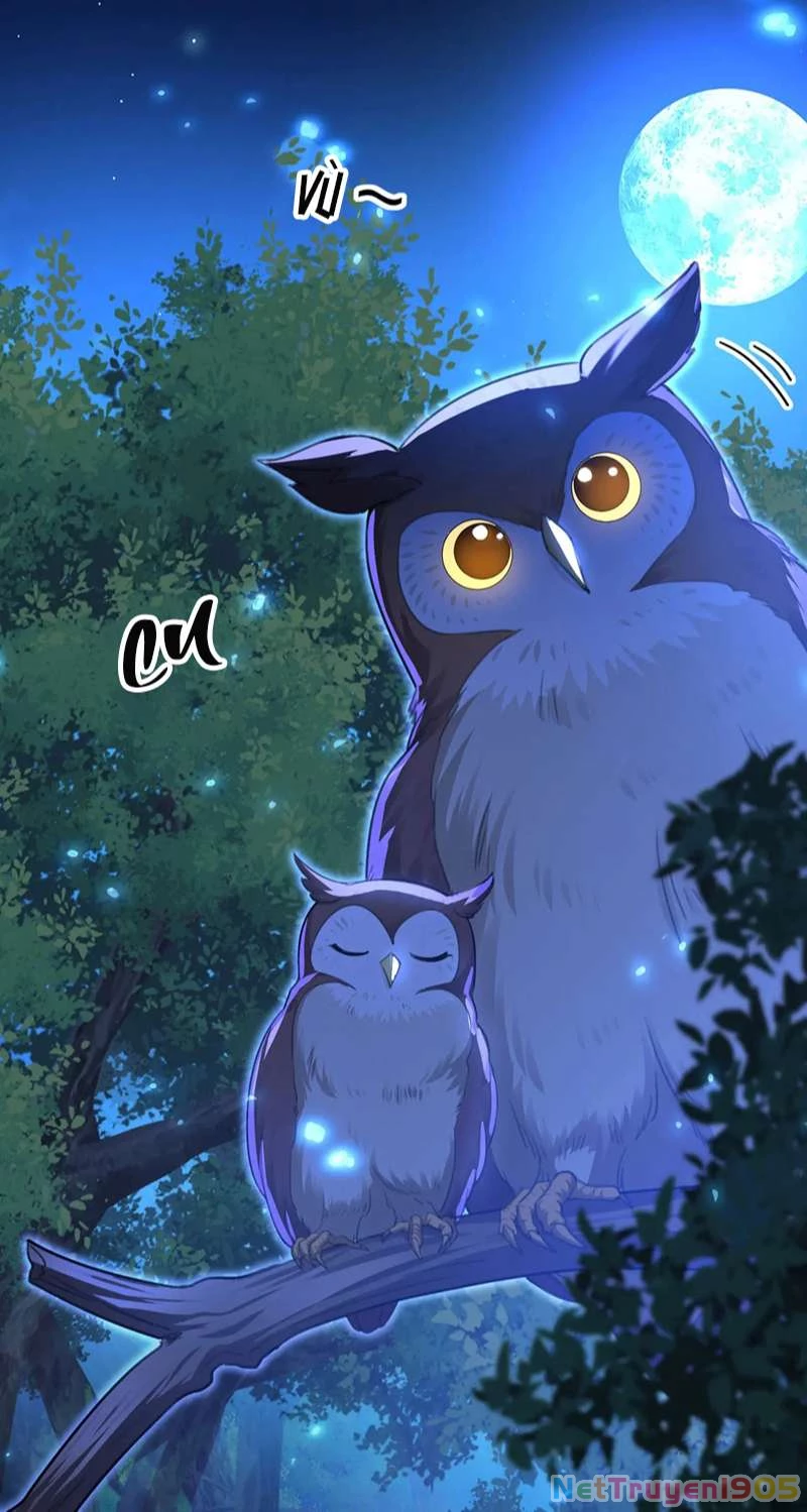 Dẫn Sói Vào Phòng Chapter 168 - 17