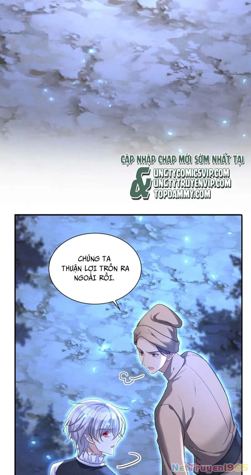 Dẫn Sói Vào Phòng Chapter 168 - 19