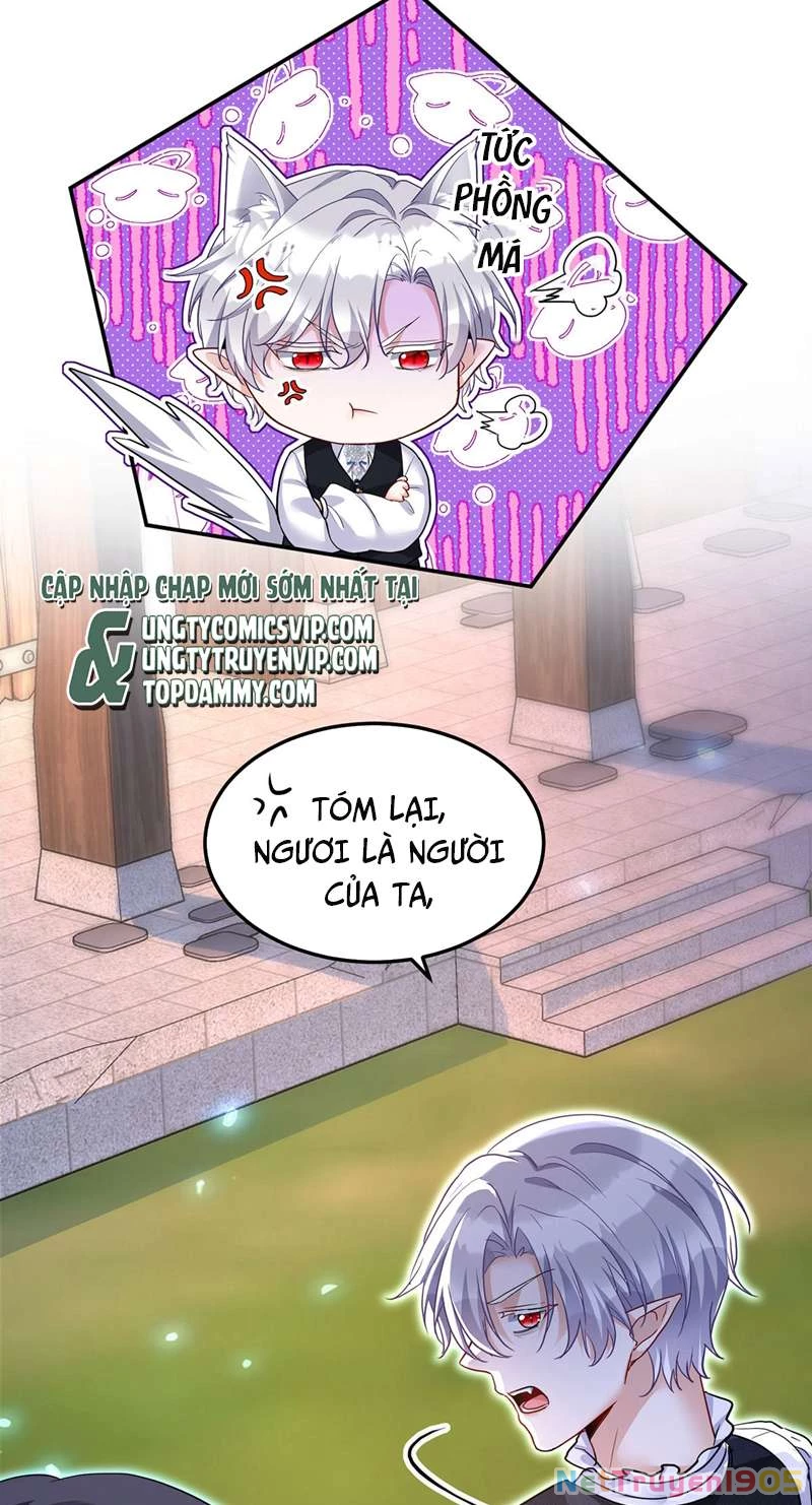Dẫn Sói Vào Phòng Chapter 170 - 19